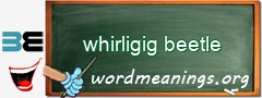 WordMeaning blackboard for whirligig beetle